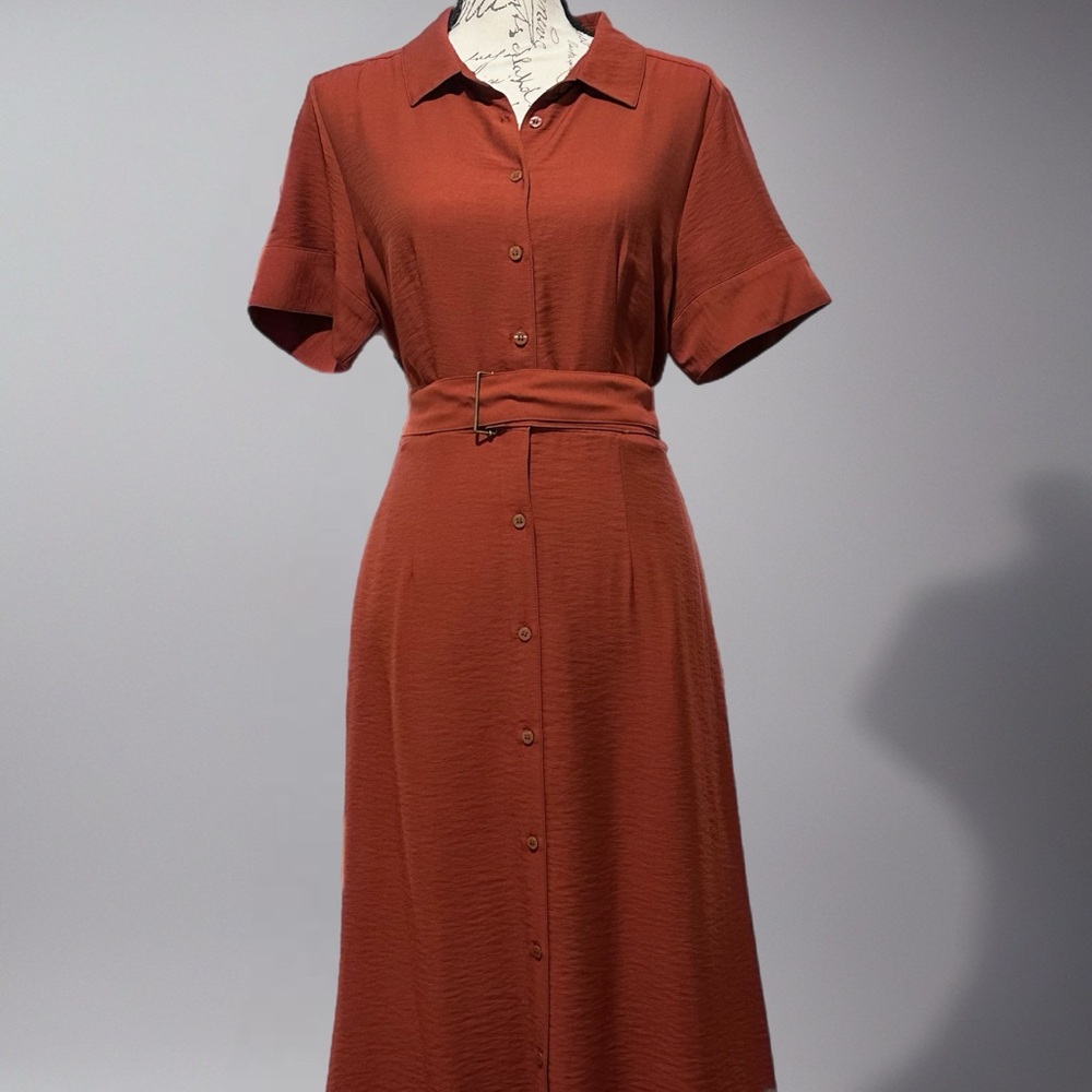 Liz Claiborne Sienna Button Down Shirt Dress NWT Sz 10